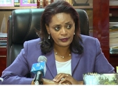 إثيوبيا وتنزانيا تقرران توقيع اتفاق لنقل الطاقة
