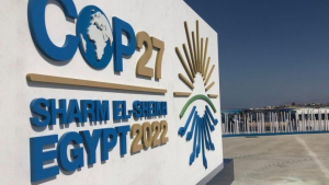 COP27 يطلق مبادرات للسماح للبلدان الأفريقية بالاستثمار في بناء القدرة على التكيف مع تغير المناخ