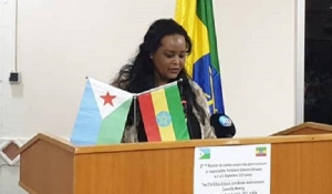 إثيوبيا وجيبوتي تتعهدان بالعمل المشترك في الحد من الأنشطة غير المشروعة عبر الحدود
