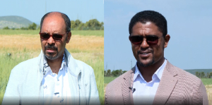 كبار المسؤولين : يوضح نجاح زراعة القمح قدرة إثيوبيا على التحول من جميع الجوانب