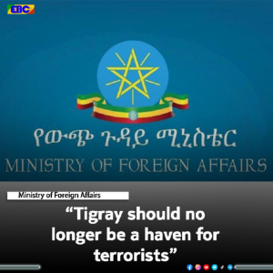 وزارة الخارجية  : يجب ألا تكون تيغراي ملاذًا للإرهابيين وأرض إفلات جبهة تحرير تيغراي من العقاب