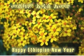 الاثيوبيون يحتفلون بالعام الجديد