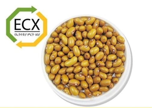 ቢጫ ቦሎቄ በኢትዮጵያ ምርት ገበያ ለግብይት ቀረበ - ኢዜአ አማርኛ - ENA