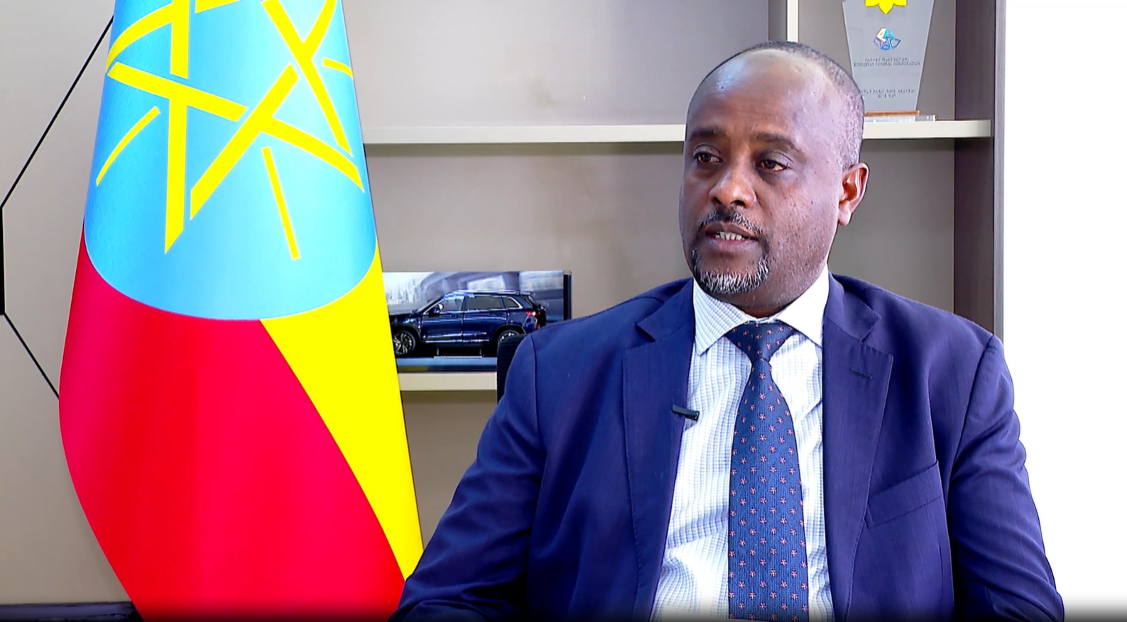 Effective Asset Management Boosts Revenue of Ethiopia’s Public Enterprises: EIH Deputy CEO