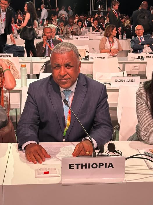 Ethiopia Calls for Seville Commitment to Build Upon Addis Ababa's Action Agenda