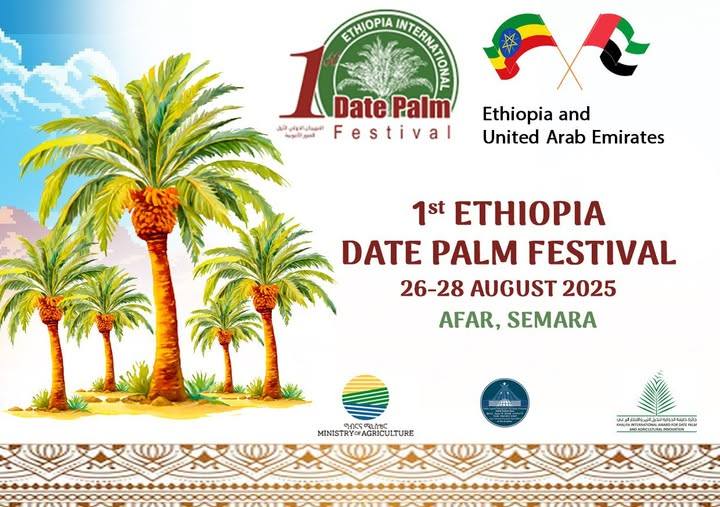 Ethiopia Determined to Tap Into Its Potential for Date Palm