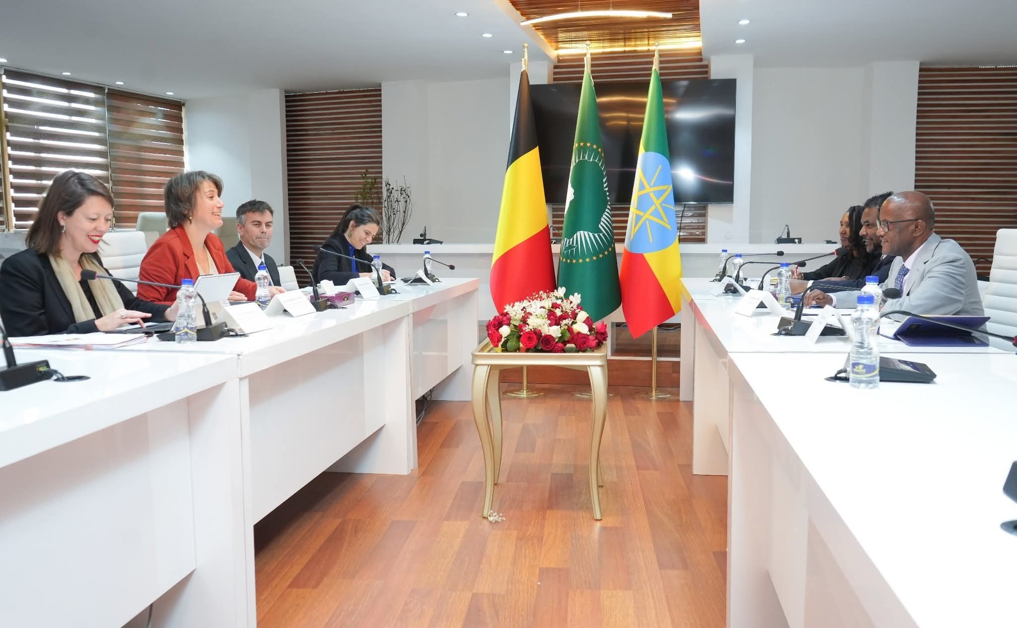 Ethiopia, Belgium Hold First Political Consultation