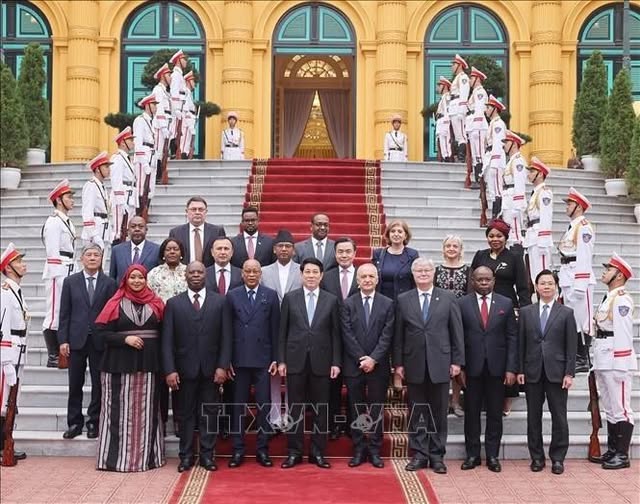 Vietnam, African Nations Seek Stronger Economic Ties at ‘Meet Africa 2025’