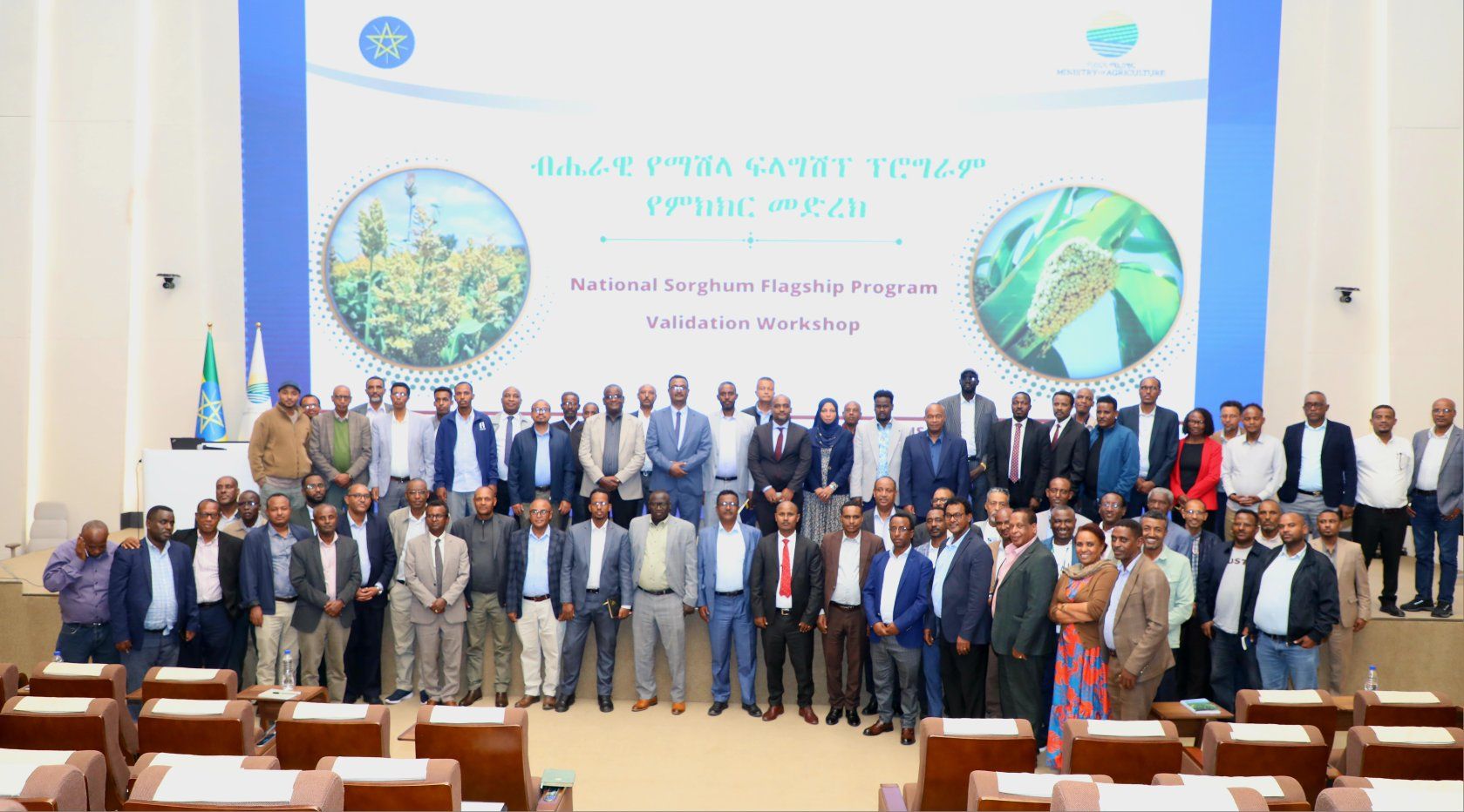 Ethiopia Unveils National Sorghum Drive to Boost Food Self-Sufficiency: Ministry