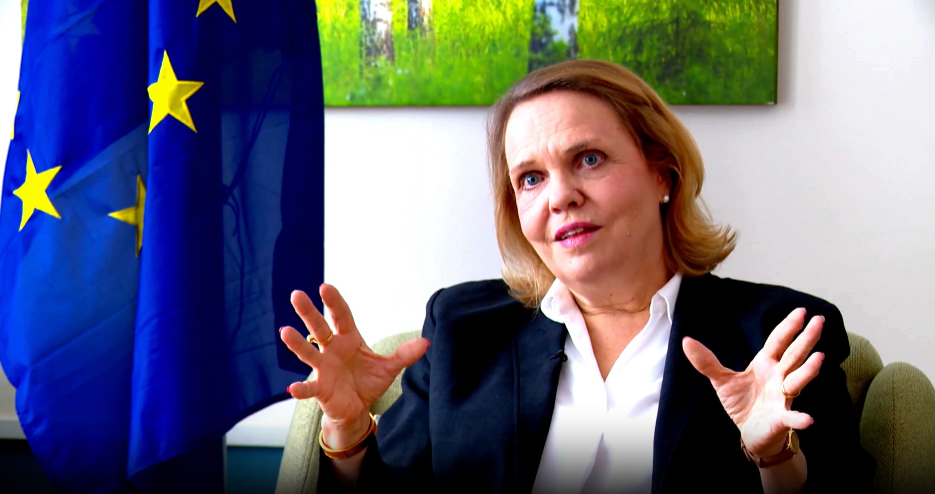 Ethiopia Positioning Itself as Reliable Partner for European Companies: Amb. From-Emmesberger