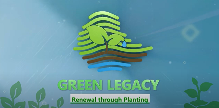 Ethiopia's Tree Planting Success Should Be Emulated by Africa