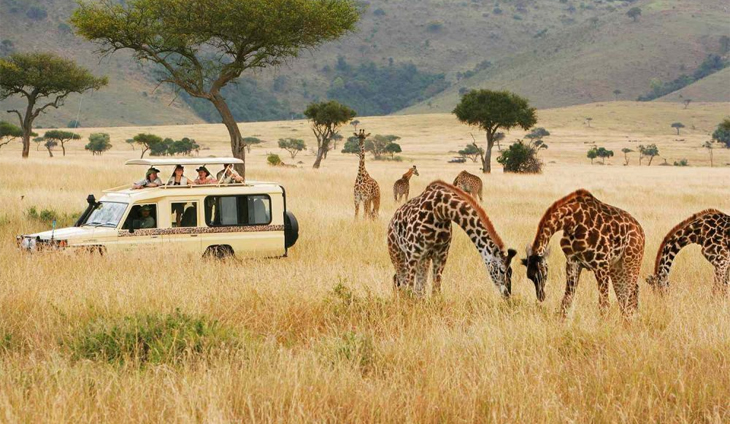 Luxury Tourism Flourishes in Africa, Yet Local Impact Remains Modest: Study