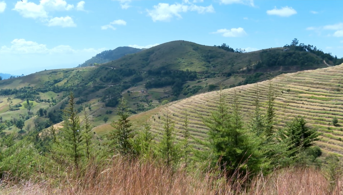 Norwegian Development Fund Applauds Ethiopia’s Soil, Water Conservation Efforts Under Green Legacy