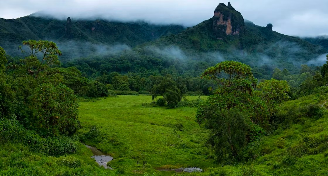Ethiopia's Bale Mountains Park Tourism Soars, Local Economy Boosted