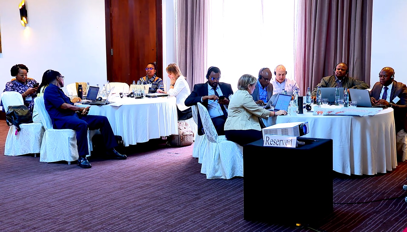 Workshop that Aims to Eliminate Mercury-added Skin Lightening Products Underway in Addis Ababa