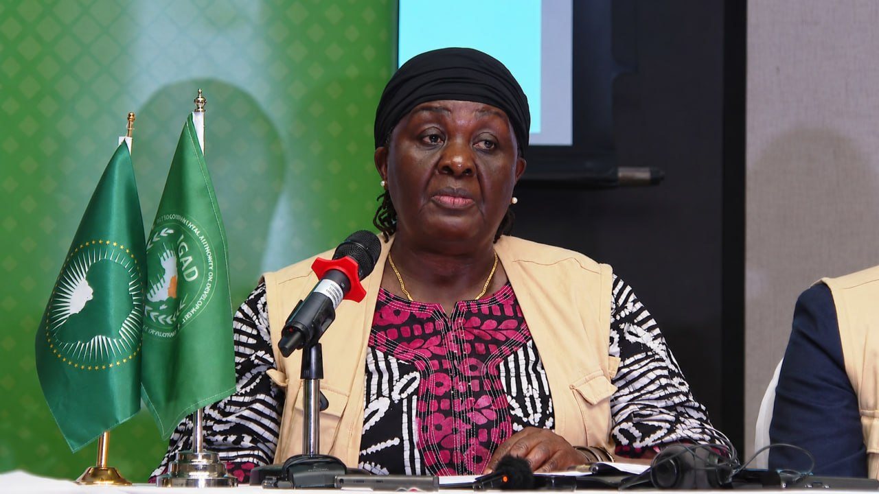 IGAD Releases Preliminary Report on Ethiopia’s 7th General Election, Commends Peaceful Conduct and Electoral Reforms