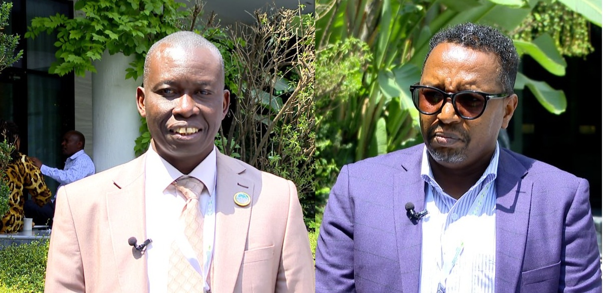 Africa Urged to Unlock Untapped Livestock Potential for Food Security, Economic Growth