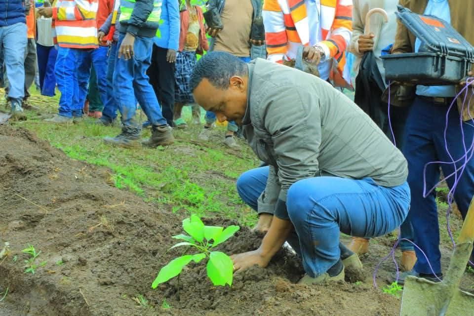 የአረንጓዴ አሻራና መሰል የልማት ሥራዎች ለኢትዮጵያ ማንሰራራት መሰረት እየጣሉ ነው-ርዕሰ መስተዳድር ነጋሽ ዋጌሾ ...