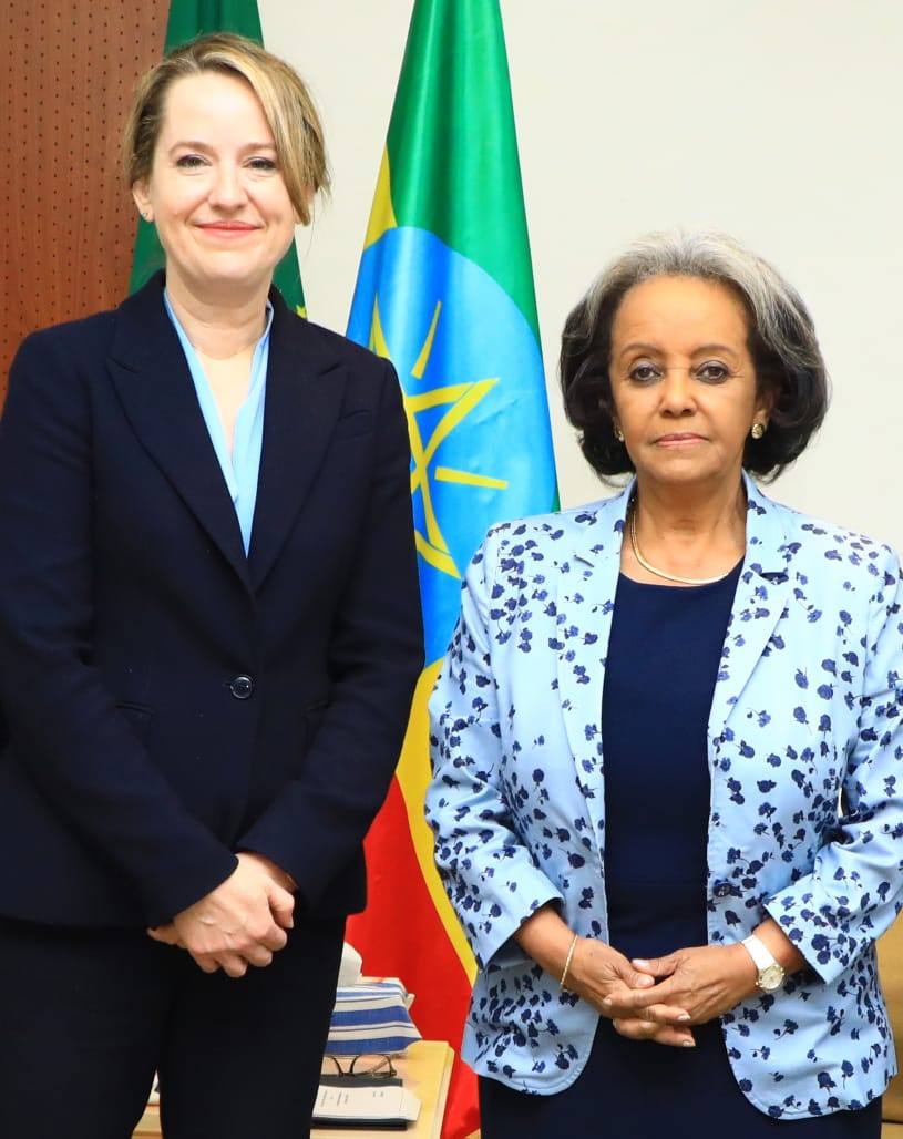 President Sahle-Work Zewde Confers with Director General of IOM - ENA ...