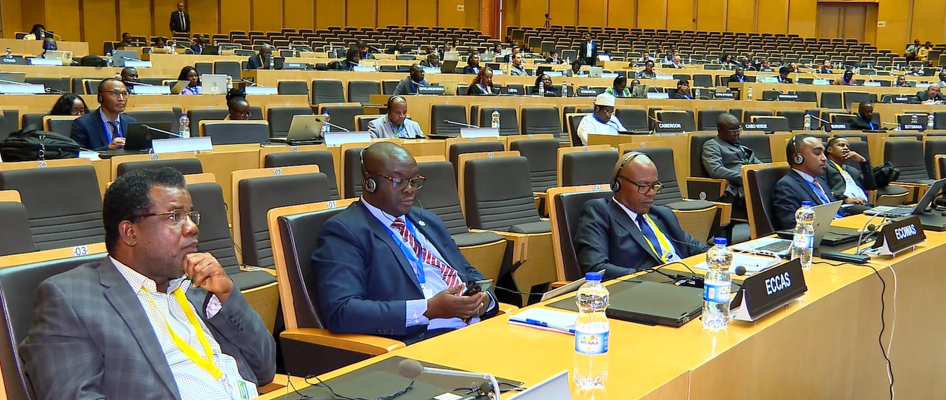 Africa Needs to Collaborate to Harness Opportunities in Carbon Trading ...