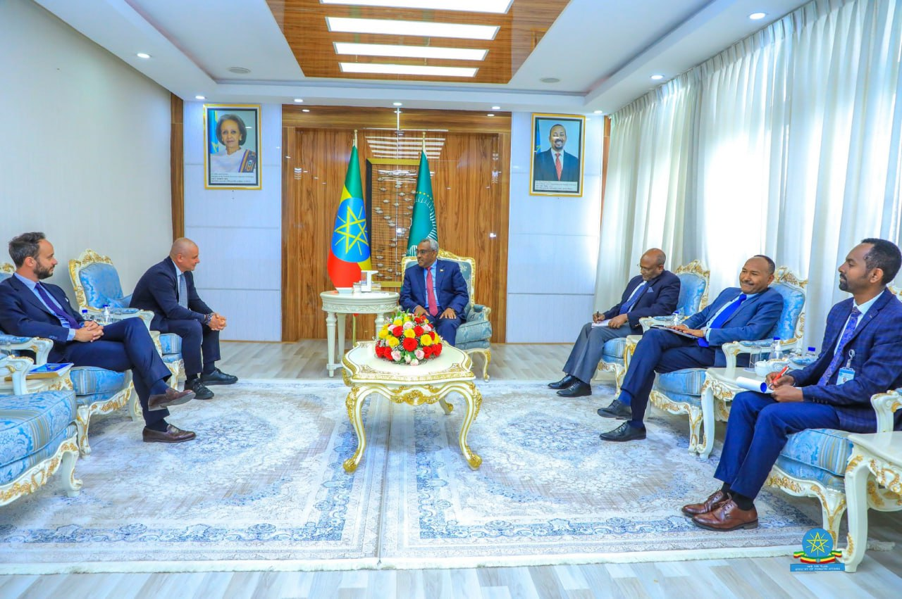 DPM & FM Demeke Stressed Need for Ethiopia, Italy to Work Closely to ...