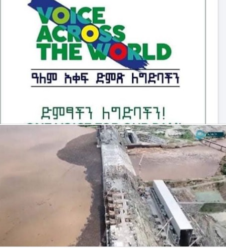 ena voiced ethiopians gerd addis