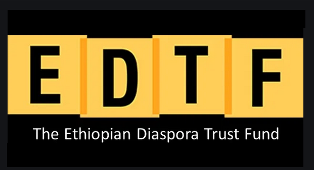 Edtf Donates 6 6 Mln Gloves To Help Fight Covid19 In Ethiopia Ethiopian News Agency