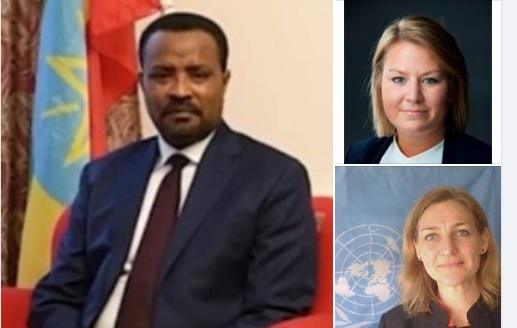 Ethiopia S Ambassador Briefs Officials Of Nordic Countries Regarding Current Situation In Tigray Ethiopian News Agency