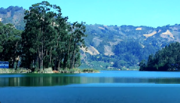 ገገገገገ