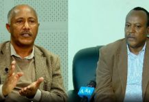 Egypt, Sudan Desperately Trying to Prevent Second Filling of GERD: Scholars