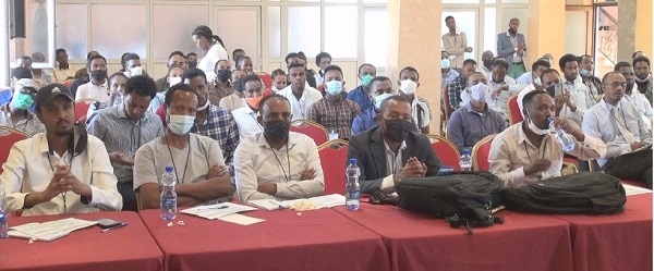 አሶሳ