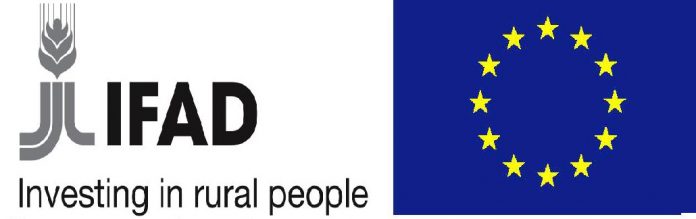 IFAD-new_web-scaled