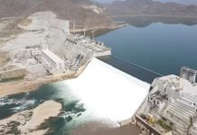 NBI Secretariat Exec. Director, DRC Water Expert Call for Amicably Resolution of GERD Differences