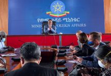 Ambassadors of UN Security Council, South American Countries Briefed on Situation in Ethiopia