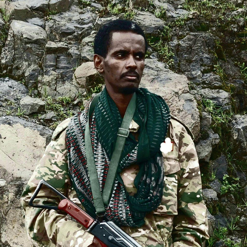 Amhara Democratic Force Movement Leader Urges Strong Collaboration to Repulse TPLF