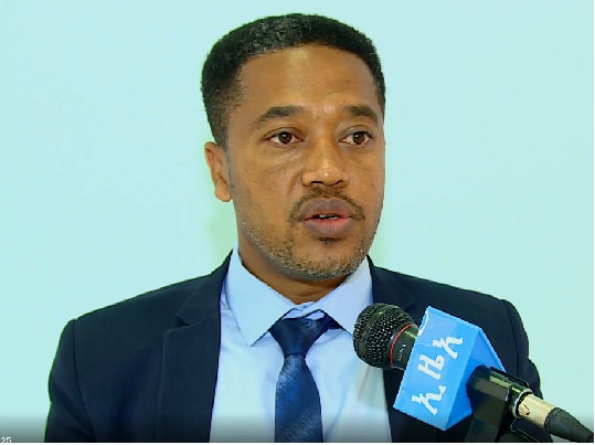 ድንሲ