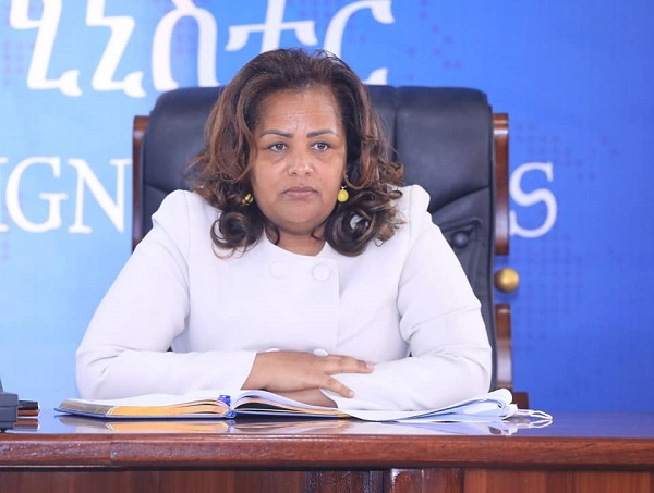 Committee Reviews Preparations to Host Upcoming AU Summit, Ministerial Session