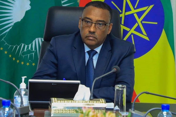 DPM & FM Demeke Lauds Initiative of Israeli MPs, Medical Professionals