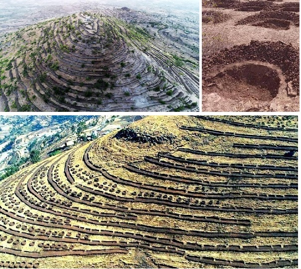 አሻራ