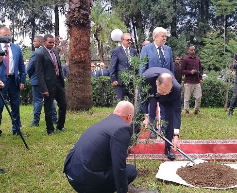 Russian Foreign Minister Plants Tree in Addis Ababa