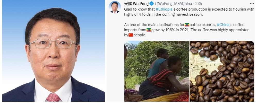 Las exportaciones de café de Etiopía crecen un 196 por ciento en China, dice un funcionario chino  Satenaw: noticias etíopes