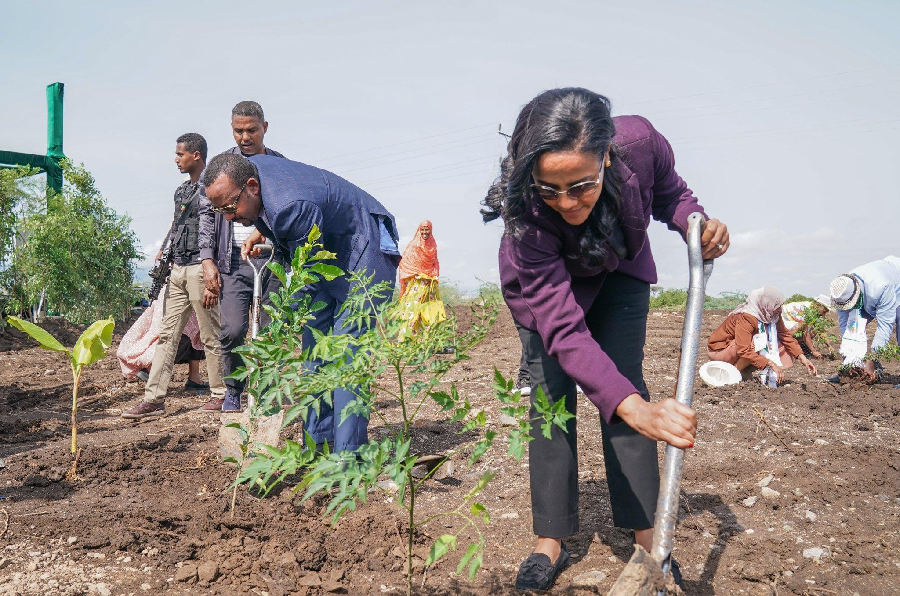 PM Abiy Announces Successful Accomplishment of 4th Round of Green Legacy in Dire Dawa