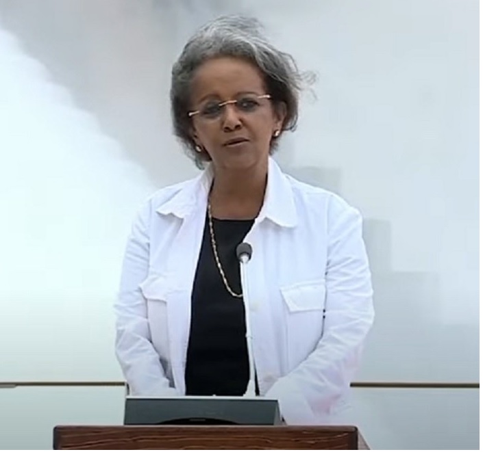 President Sahlework Says GERD Achievements Signify Strength of Unity