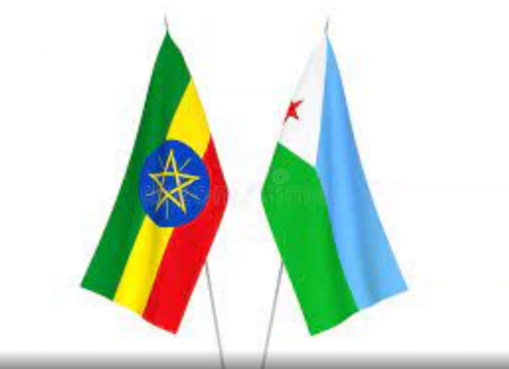 Ethiopia Using All Market Options Available in Djibouti: Ambassador Birhanu Tsegaye