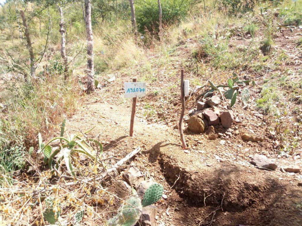 Mass Graves of Thousands of TPLF Militants, Leaders Found in Chercher Town