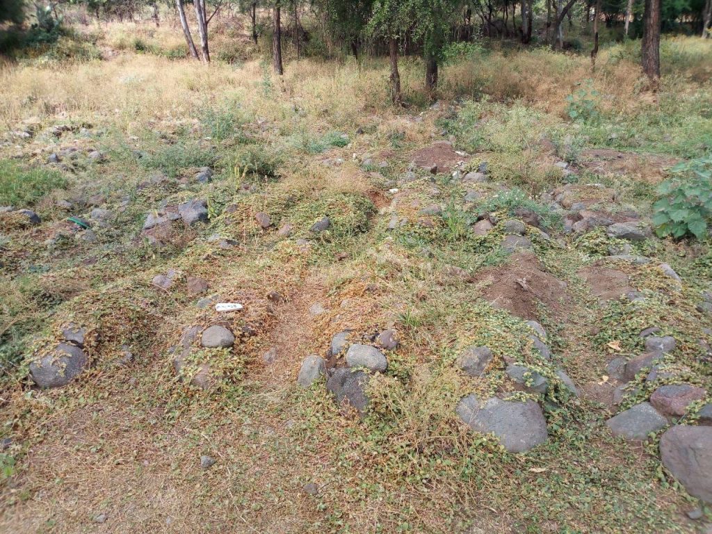 Mass Graves of Thousands of TPLF Militants, Leaders Found in Chercher Town