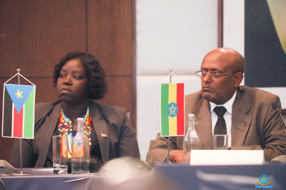 Khartoum Process Meeting concludes with Useful Elements for COP27