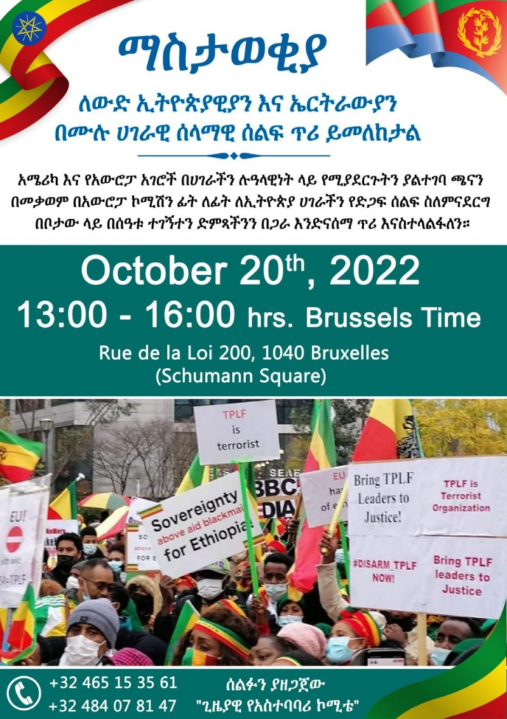 Ethiopian Diaspora Intensifying Efforts to Correct Wrong Perception of Current Situation in Ethiopia