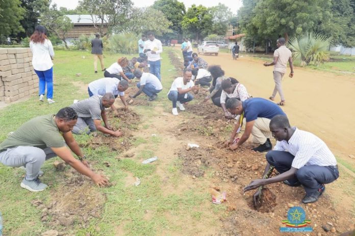 planting