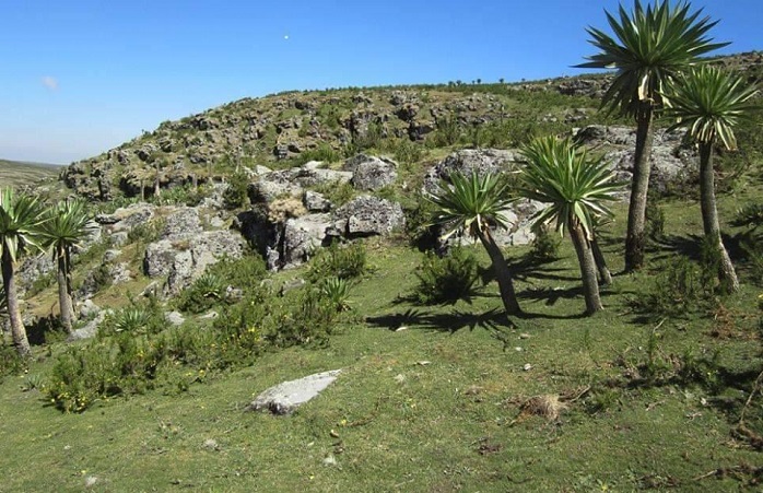 Ethiopia’s Choke Mountains Ecovillage among WTO Best Tourism Villages 2022